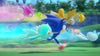 Sonic Colours (Nintendo DS) [video game]