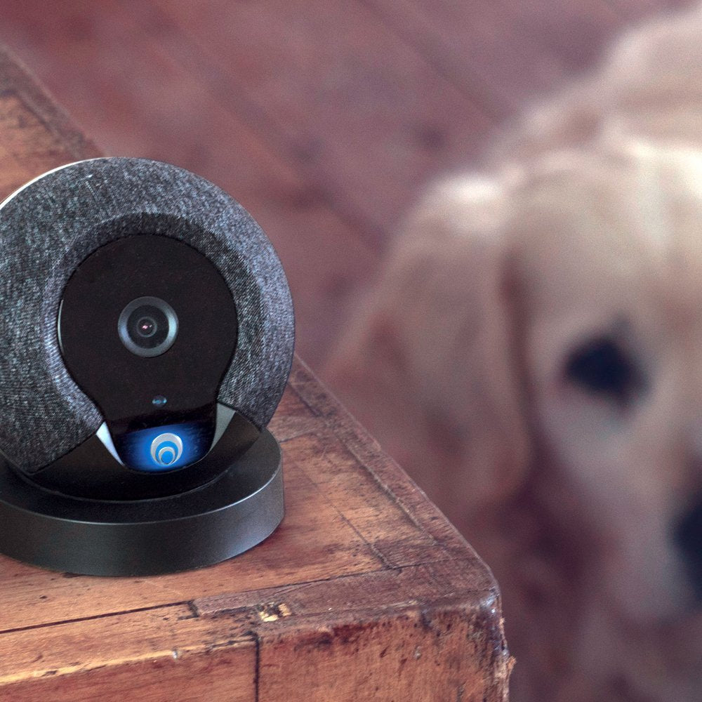 Cocoon Indoor Home Security Camera System